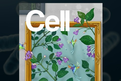 SQ-Cell-960x960-1