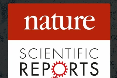 SQ-Nature-Scientific-Reports-960x960-1